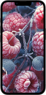 TPU чехол Морозные ягоды для Apple iPhone SE 4 - 6033b-3652 изображение 
