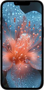 TPU чехол Роса на квітці для Apple iPhone SE 4 - 6039b-3652 изображение 