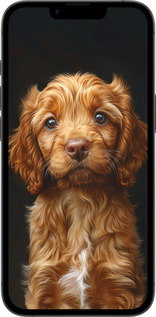 TPU чехол Cocker spaniel на чорному фоні для Apple iPhone SE 4 - 6137b-3652 изображение 