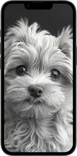 TPU чехол Мальтипу на чорном фоне для Apple iPhone 16e - 6156b-3971 изображение 