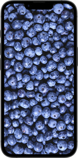 TPU чехол Черника для Apple iPhone 16e - 851b-3971 изображение 