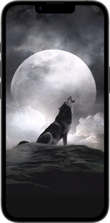 TPU чехол Вовк, що виє для Apple iPhone 16e - 934b-3971 изображение 