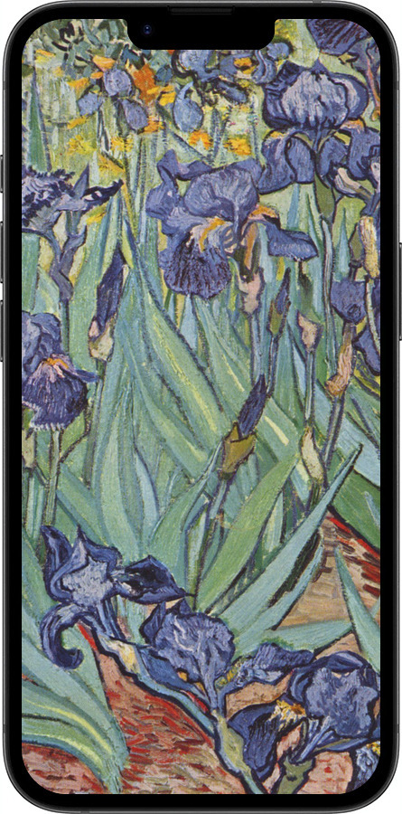 TPU чехол Винсент Ван Гог. Ирисы для Apple iPhone SE 4 - 161b-3652 изображение 