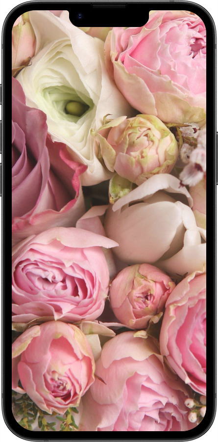 TPU чехол Розы v2 для Apple iPhone SE 4 - 2320b-3652 изображение 