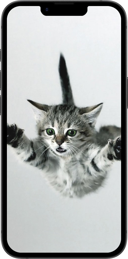 TPU чехол Летящий котёнок для Apple iPhone 16e - 2322b-3971 изображение 