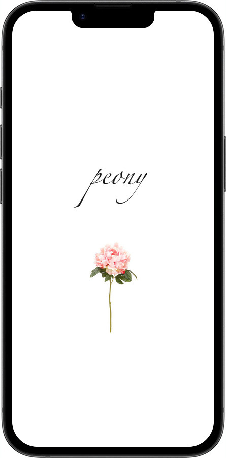 TPU чехол Пион для Apple iPhone SE 4 - 4366b-3652 изображение 