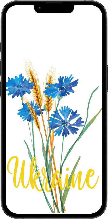 TPU чехол Ukraine v2 для Apple iPhone SE 4 - 5445b-3652 изображение 