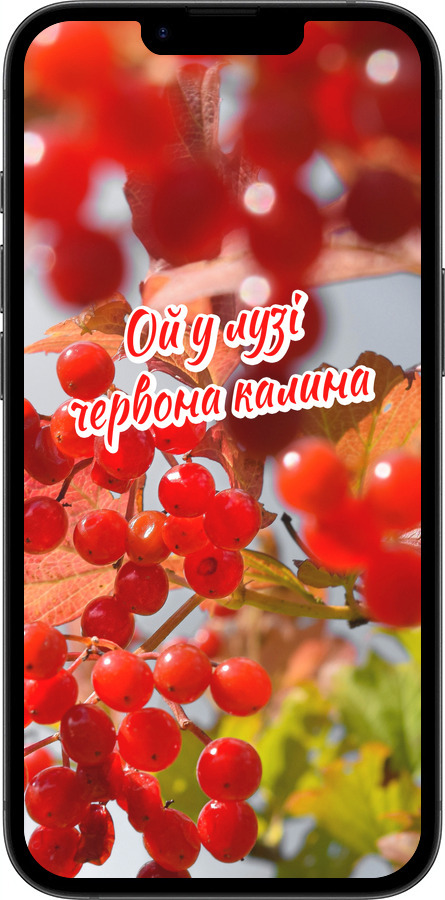 TPU чехол Калина для Apple iPhone SE 4 - 5454b-3652 изображение 