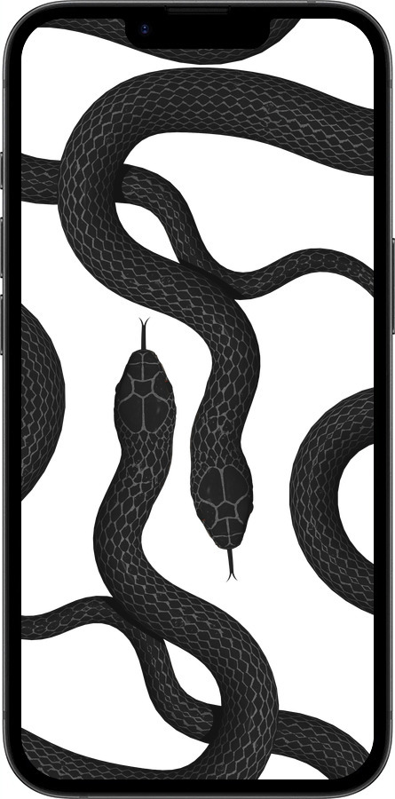 TPU чехол Змеи для Apple iPhone SE 4 - 5473b-3652 изображение 