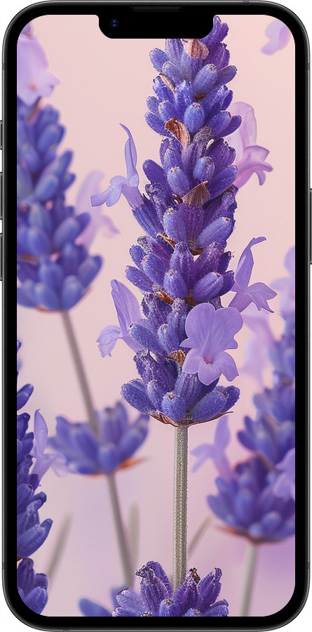 TPU чехол Лаванда для Apple iPhone SE 4 - 6037b-3652 изображение 