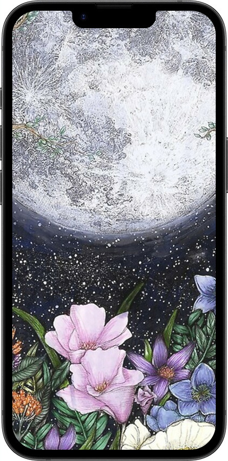 TPU чехол Полночь в саду для Apple iPhone 16e - 6259b-3971 изображение 
