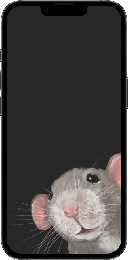 TPU чехол The Peeking Rat для Apple iPhone SE 4 - 6442b-3652 изображение 
