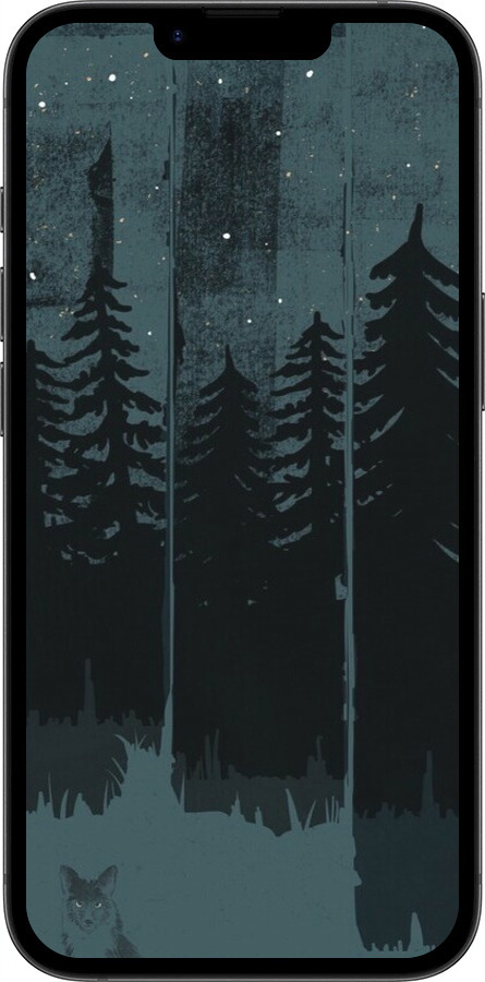 TPU чехол Лиса и ночной лес для Apple iPhone SE 4 - 6481b-3652 изображение 