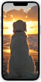 Силіконовий протиударний с посиленими кутами чехол Захід і собака для Apple iPhone 16e - 3966sp-3971 изображение 