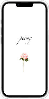 Силикон с усиленными углами чехол Пион для Apple iPhone SE 4 - 4366sp-3652 изображение 