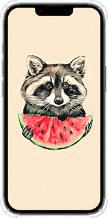 Силикон с усиленными углами чехол Енотик с арбузом для Apple iPhone SE 4 - 4605sp-3652 изображение 