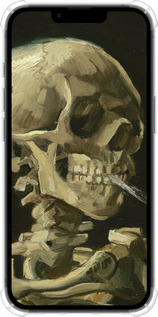 Силикон с усиленными углами чехол Винсент Ван Гог. Череп для Apple iPhone SE 4 - 5544sp-3652 изображение 