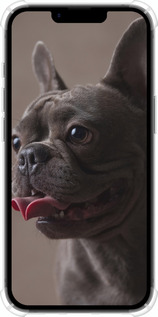 Силикон с усиленными углами чехол Милый бульдог для Apple iPhone 16e - 5546sp-3971 изображение 