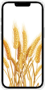 Силикон с усиленными углами чехол Колоски пшеници для Apple iPhone 16e - 5866sp-3971 изображение 