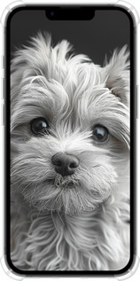 Силикон с усиленными углами чехол Мальтипу на чорном фоне для Apple iPhone SE 4 - 6156sp-3652 изображение 