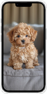 Силикон с усиленными углами чехол Mini-maltipoo для Apple iPhone SE 4 - 6158sp-3652 изображение 