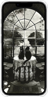 Силикон с усиленными углами чехол Череп и коты для Apple iPhone 16e - 6432sp-3971 изображение 