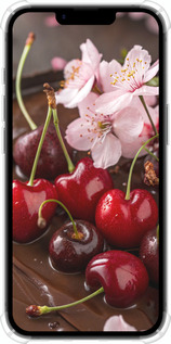 Силикон с усиленными углами чехол Вишня в шоколаде для Apple iPhone SE 4 - 6698sp-3652 изображение 