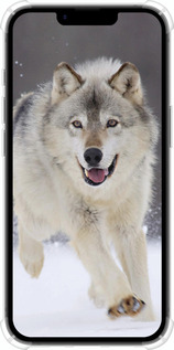 Силіконовий протиударний с посиленими кутами чехол Вовк, що біжить для Apple iPhone SE 4 - 826sp-3652 изображение 