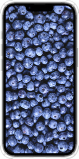 Силіконовий протиударний с посиленими кутами чехол Чорниця для Apple iPhone SE 4 - 851sp-3652 изображение 