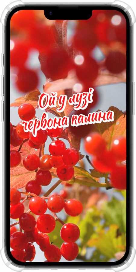 Силикон с усиленными углами чехол Калина для Apple iPhone 16e - 5454sp-3971 изображение 