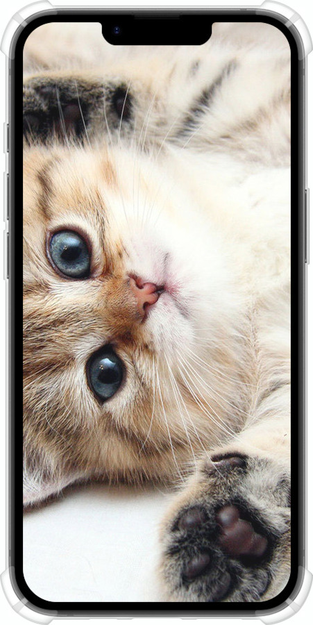 Силикон с усиленными углами чехол Котик для Apple iPhone SE 4 - 6024sp-3652 изображение 