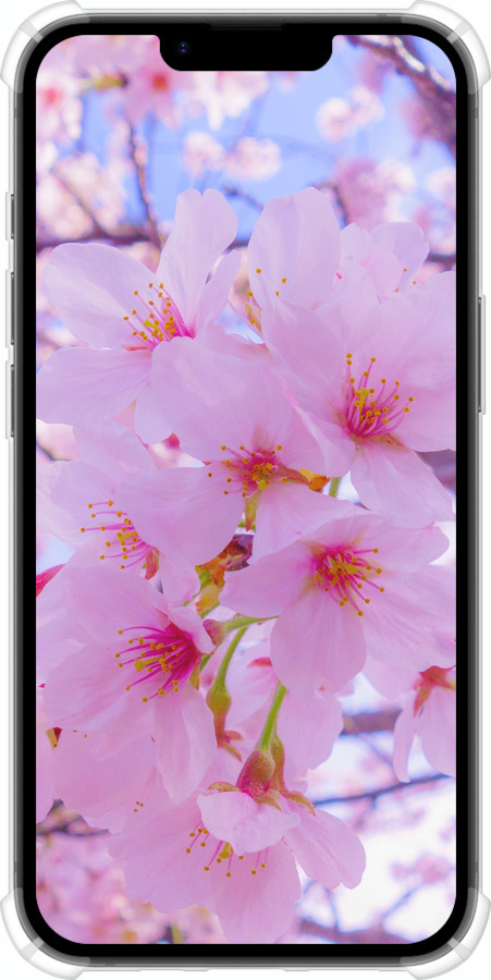 Силикон с усиленными углами чехол Сакура для Apple iPhone SE 4 - 6029sp-3652 изображение 