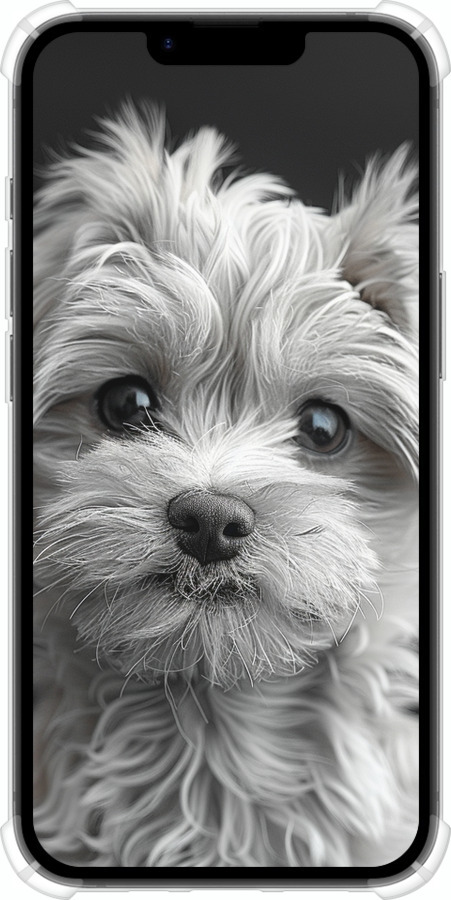 Силикон с усиленными углами чехол Мальтипу на чорном фоне для Apple iPhone SE 4 - 6156sp-3652 изображение 