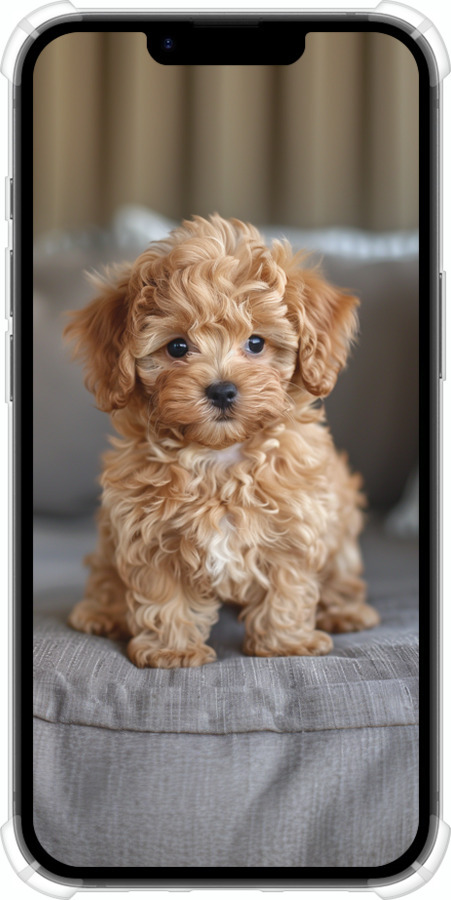 Силикон с усиленными углами чехол Mini-maltipoo для Apple iPhone SE 4 - 6158sp-3652 изображение 