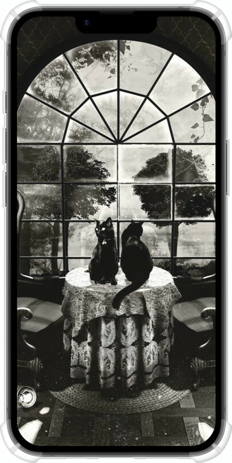 Силикон с усиленными углами чехол Череп и коты для Apple iPhone 16e - 6432sp-3971 изображение 