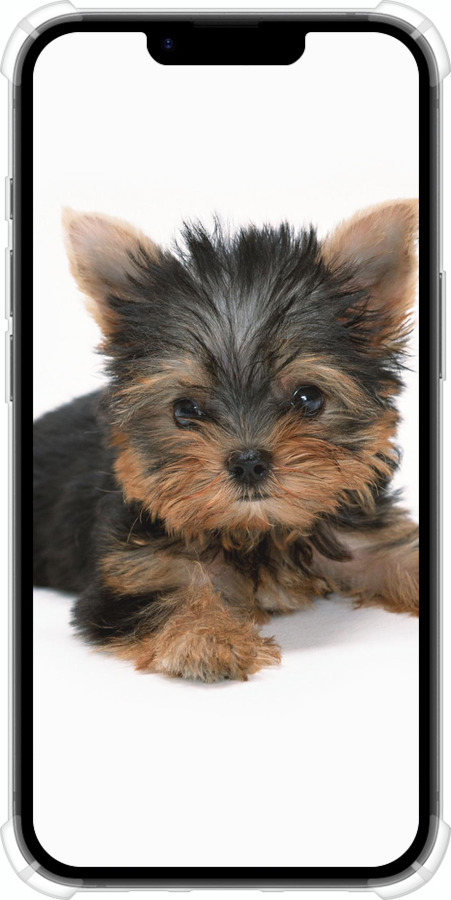 Силикон с усиленными углами чехол Щенок йоркширского терьера для Apple iPhone SE 4 - 931sp-3652 изображение 
