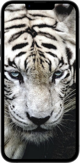Силиконовый чехол Грустный белый тигр для Apple iPhone SE 4 - 106u-3652 изображение 