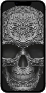 Силиконовый чехол skull-ornament для Apple iPhone 16e - 4101u-3971 изображение 