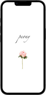 Силиконовый чехол Пион для Apple iPhone 16e - 4366u-3971 изображение 