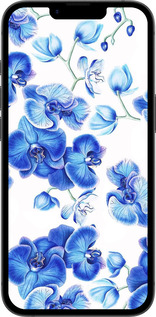 Силиконовый чехол Голубые орхидеи для Apple iPhone SE 4 - 4406u-3652 изображение 