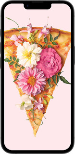 Силиконовый чехол pizza для Apple iPhone 16e - 4492u-3971 изображение 