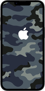 Силиконовый чехол Камуфляж 1 для Apple iPhone 16e - 4897u-3971 изображение 