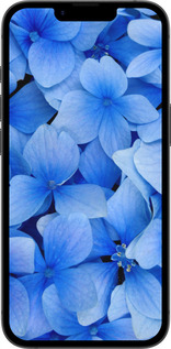 Силіконовий чехол Сині квіти для Apple iPhone SE 4 - 526u-3652 изображение 