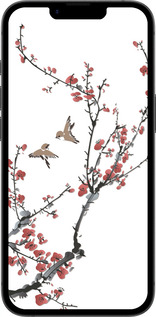 Силиконовый чехол Сакура v2 для Apple iPhone SE 4 - 5538u-3652 изображение 