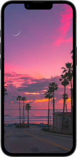 Силиконовый чехол Пальмы для Apple iPhone SE 4 - 5873u-3652 изображение 