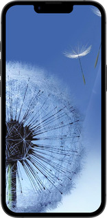 Силиконовый чехол Одуванчик для Apple iPhone SE 4 - 6005u-3652 изображение 