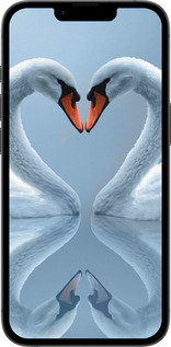 Силиконовый чехол Лебеди для Apple iPhone 16e - 6007u-3971 изображение 