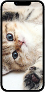 Силиконовый чехол Котик для Apple iPhone SE 4 - 6024u-3652 изображение 