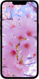 Силиконовый чехол Сакура для Apple iPhone 16e - 6029u-3971 изображение 