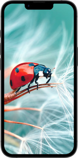 Силиконовый чехол Божья коровка для Apple iPhone SE 4 - 6049u-3652 изображение 